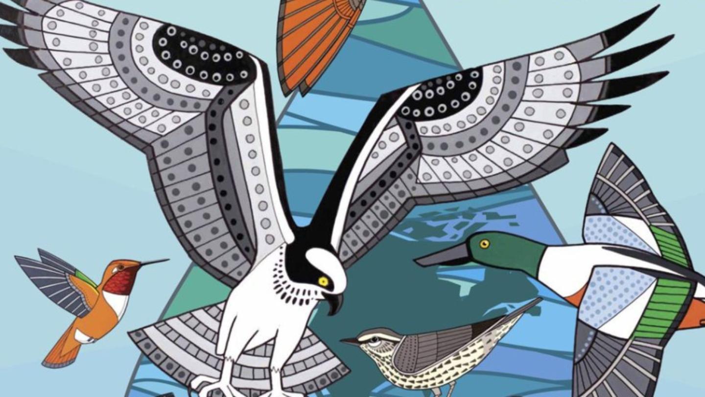 Bird Cartoons
