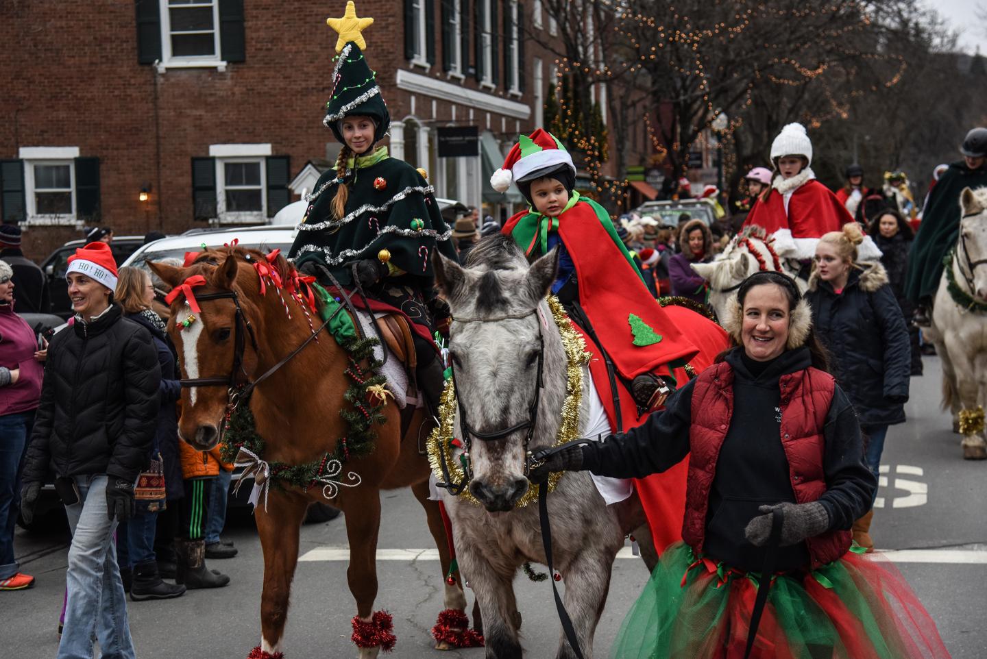 Wassail Little Elf