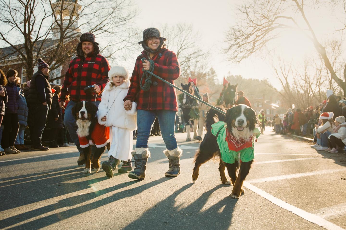 Wassail Weekend in Woodstock Vermont; Dog in the Parade