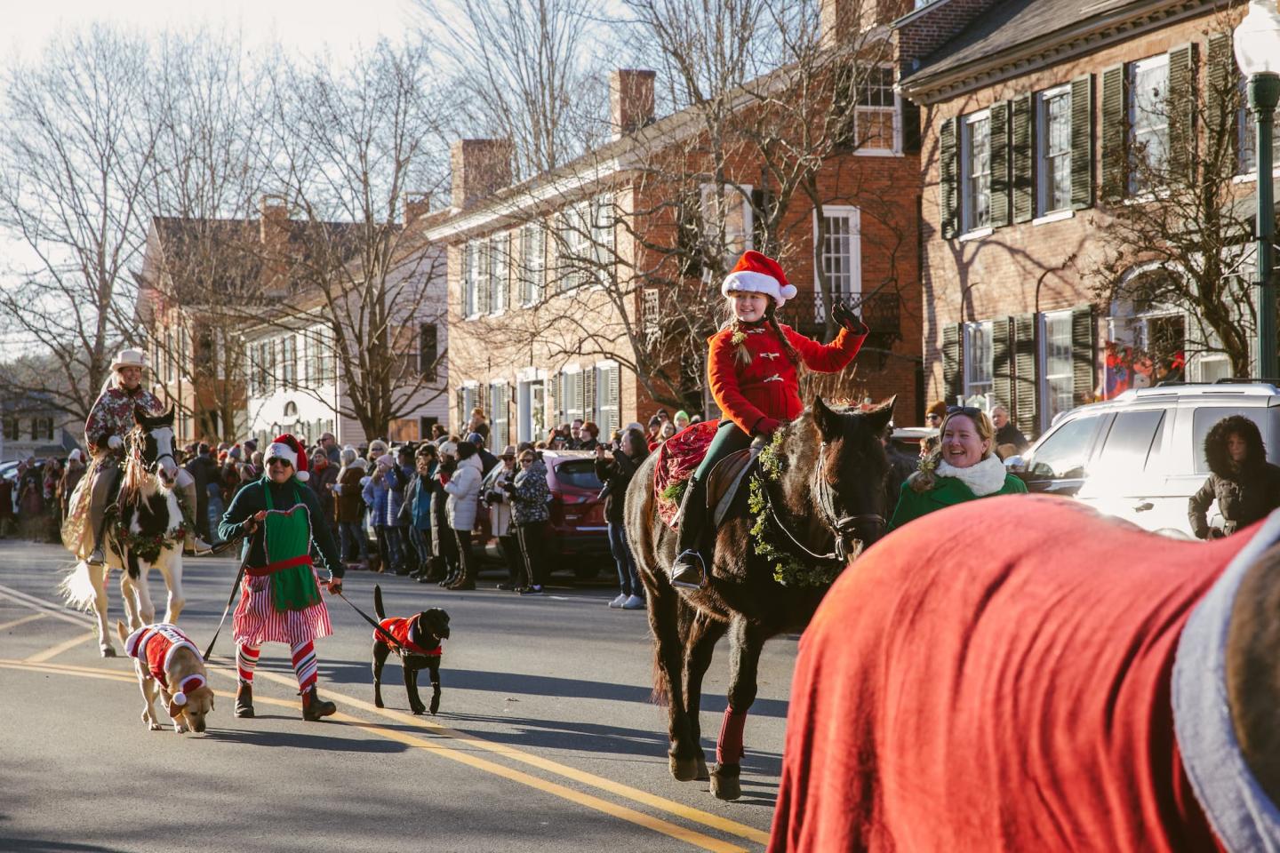 Wassail Parade Horses