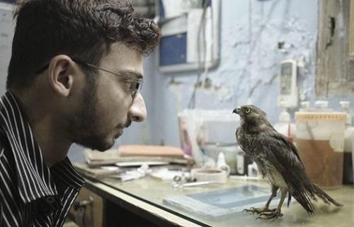 A bearded man wearing glasses looking at a bird.