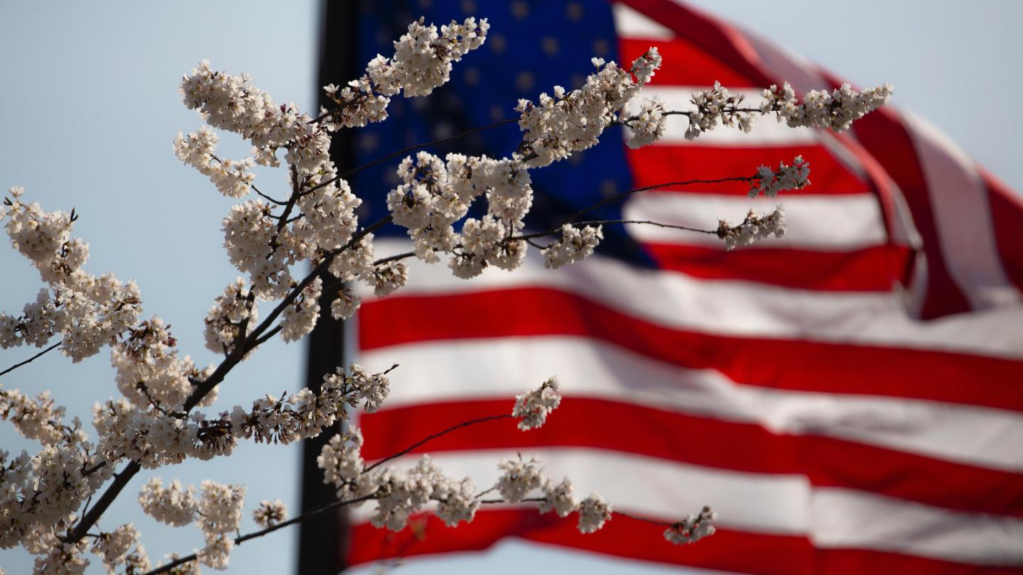 American flag behind flowers