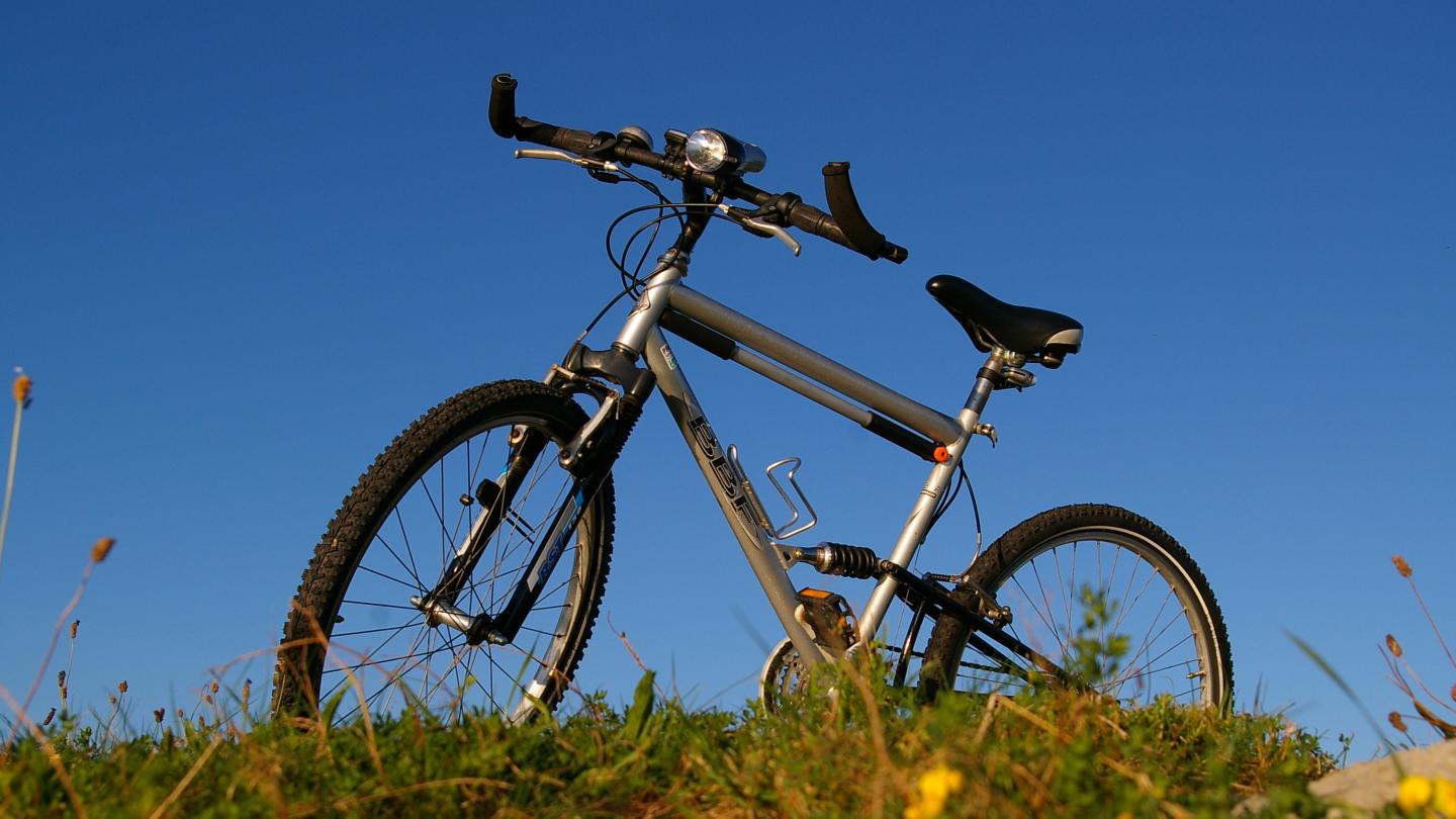 Mountain Bike