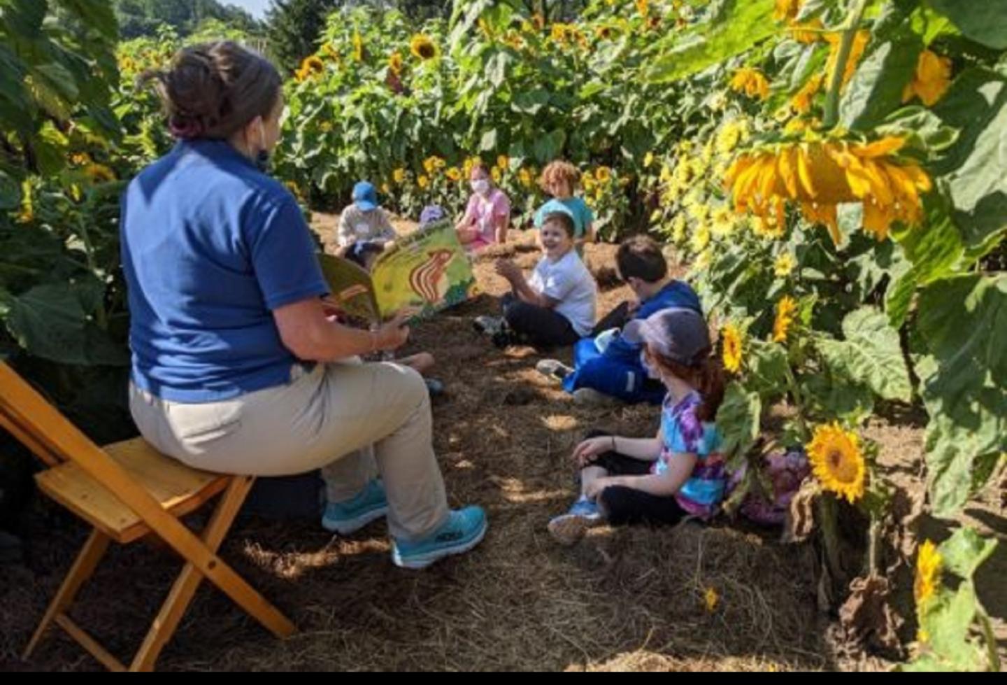 Kids listening to a story surrounded by sunflowers.