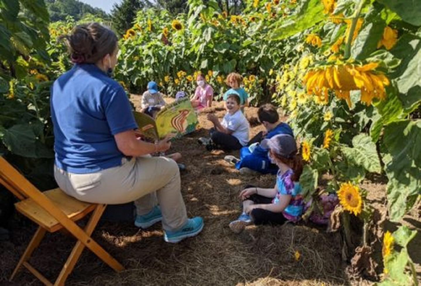 Kids listening to a story surrounded by sunflowers.