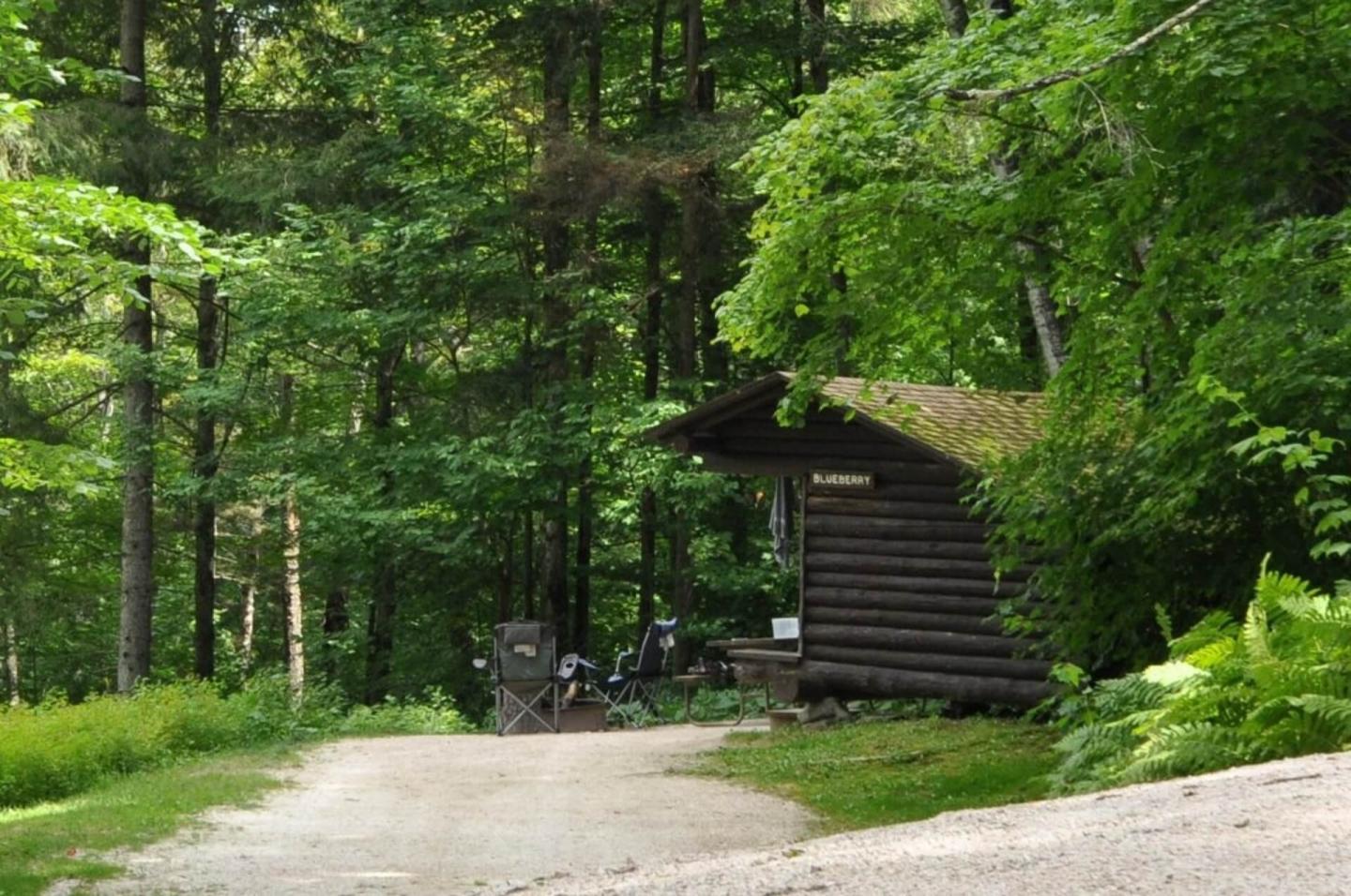The Blueberry Leanto at Coolidge State Park