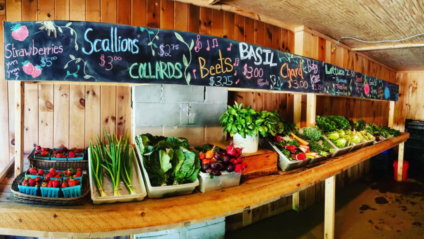 The Deep Meadow Farmstand vegetables