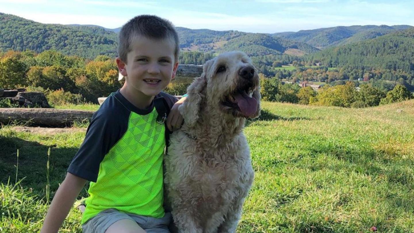 Mt Peg trail network with dogs