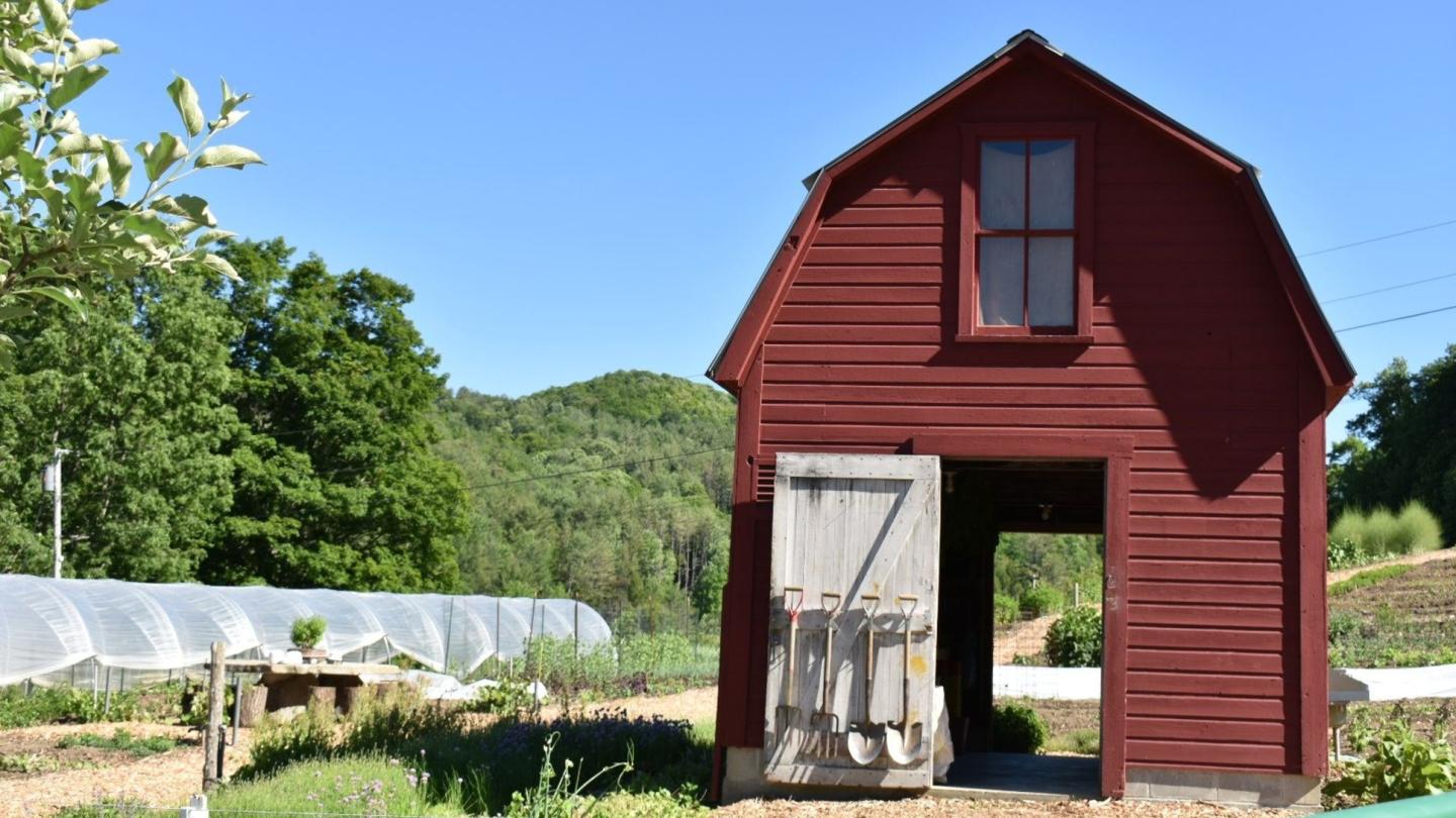 Shed at Kelly Way Gardens