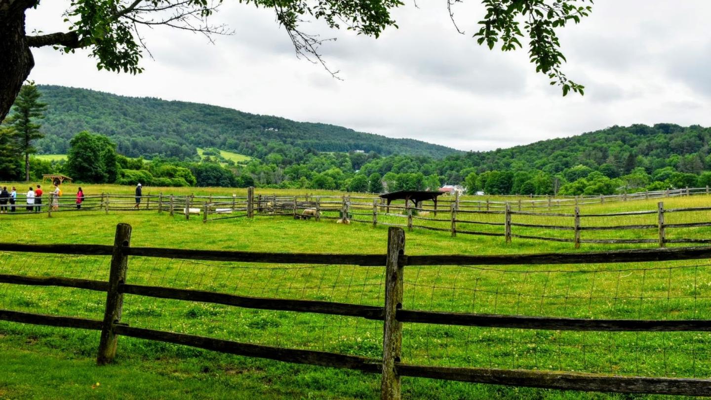 Billings farm spring