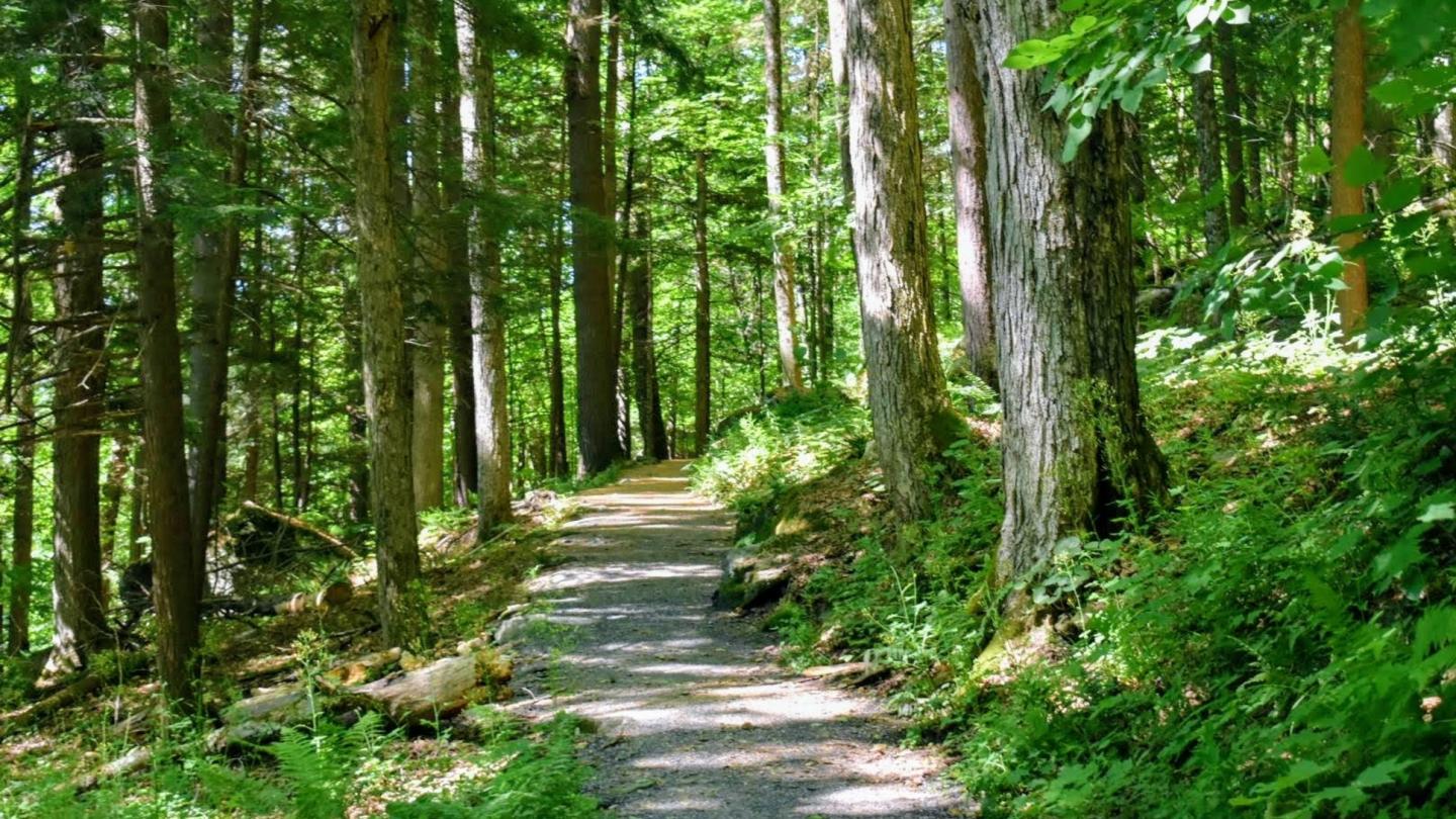 Faulkner Trail