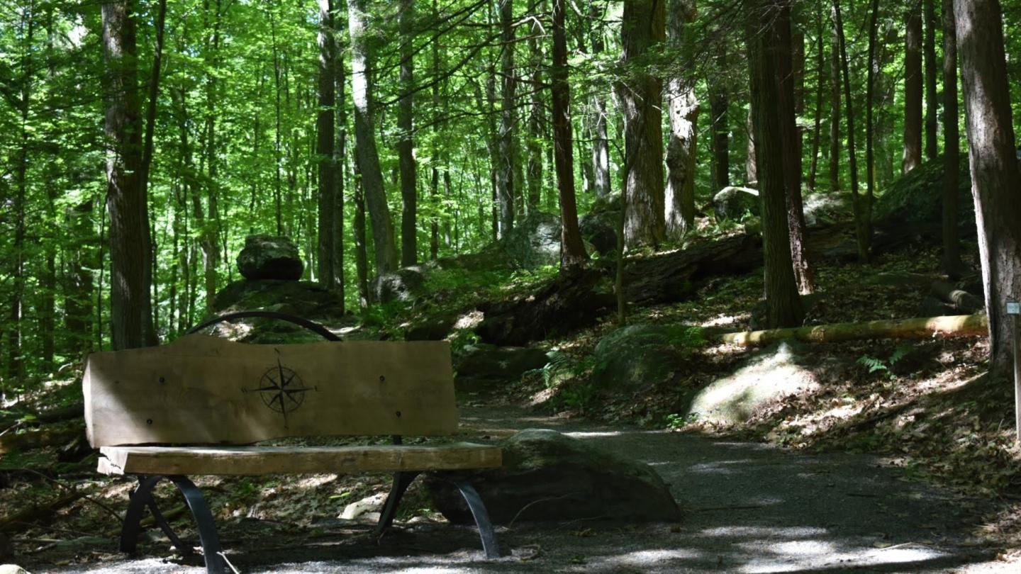 Bench on Faulkner Trail