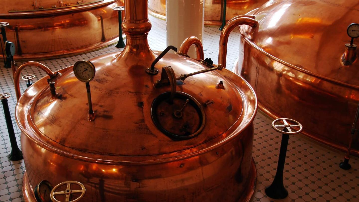 Beer production