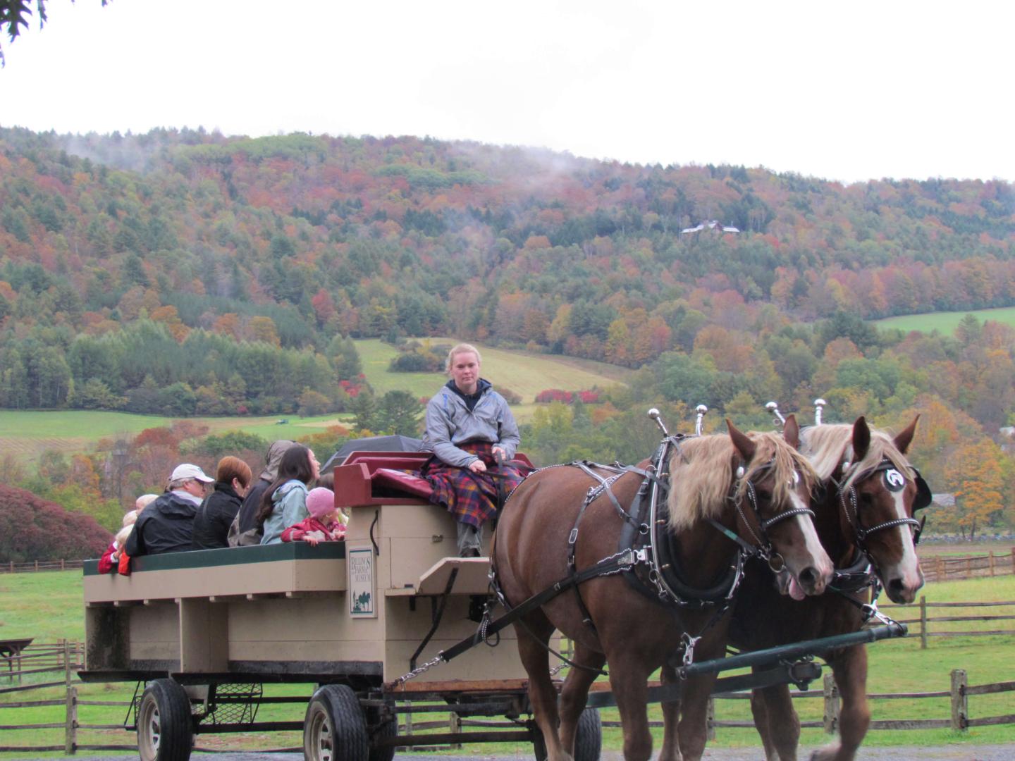 Wagon ride during foliage.