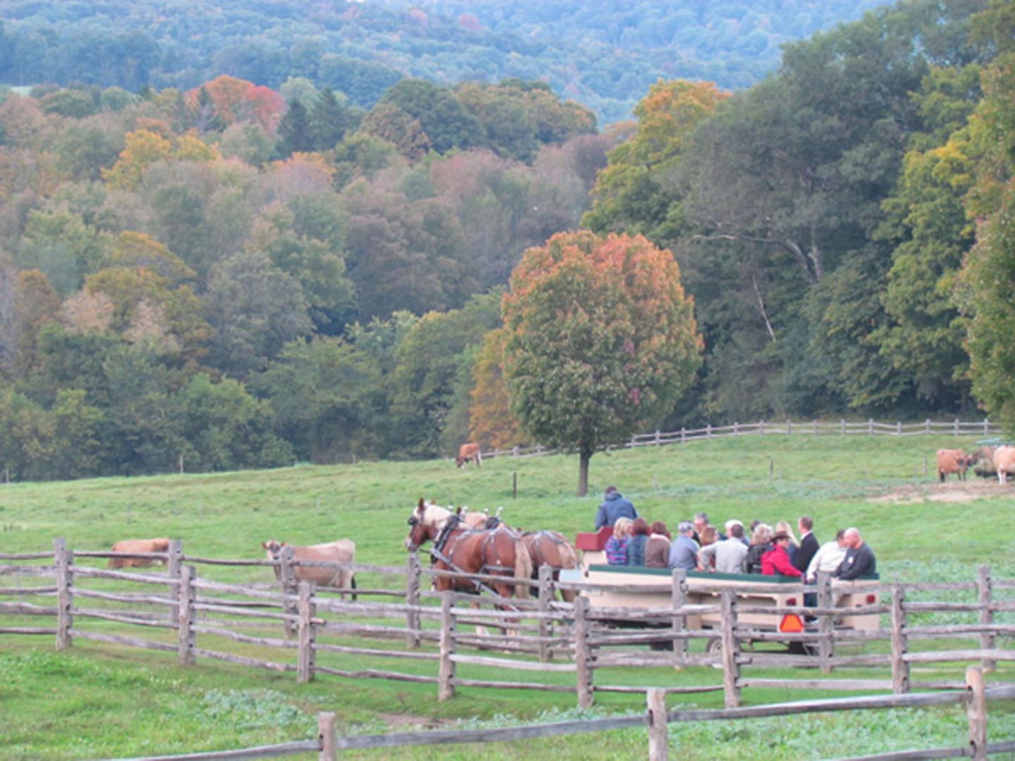 Wagon ride during foliage season.
