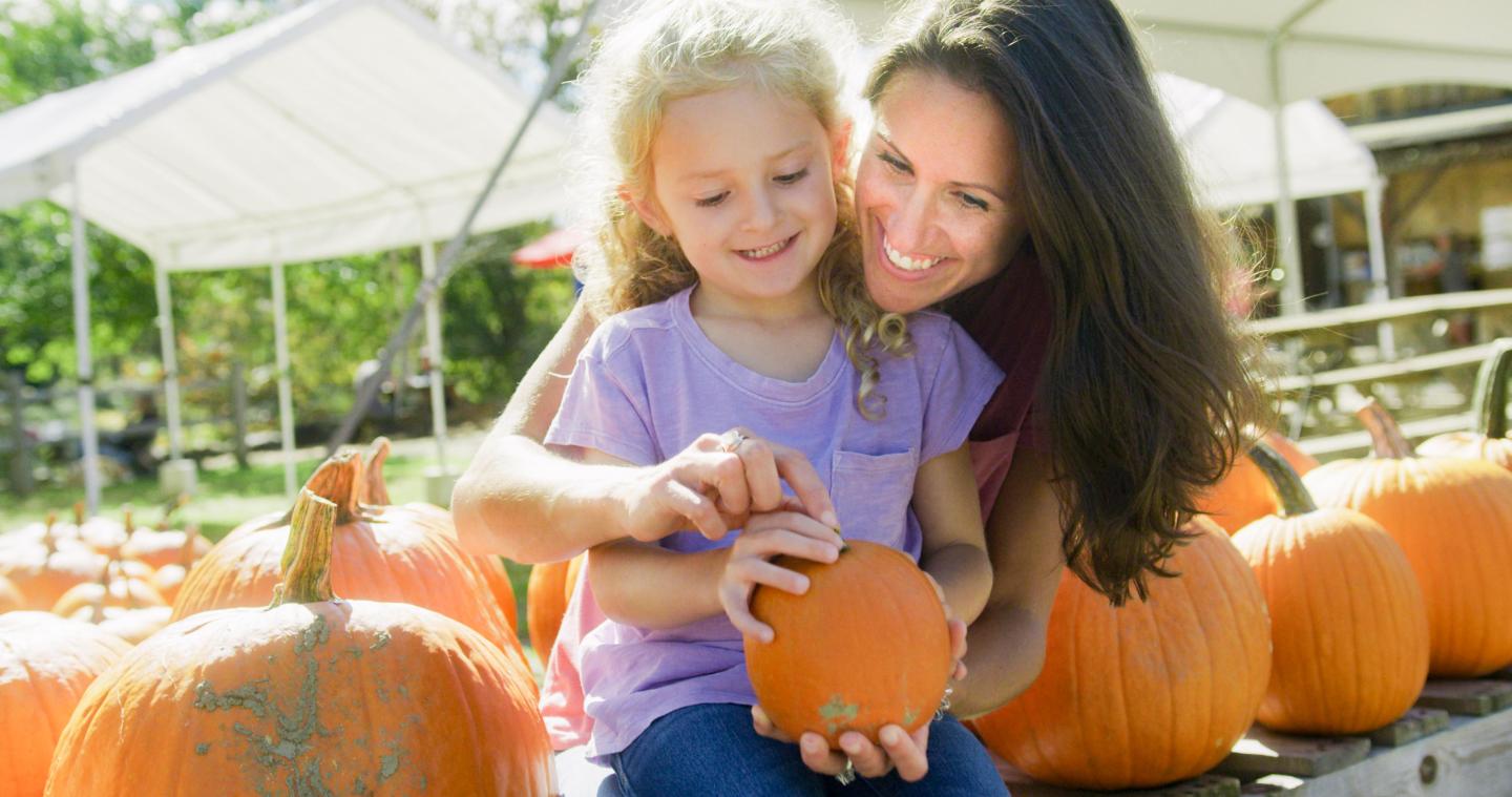 Woodstock Framers Market