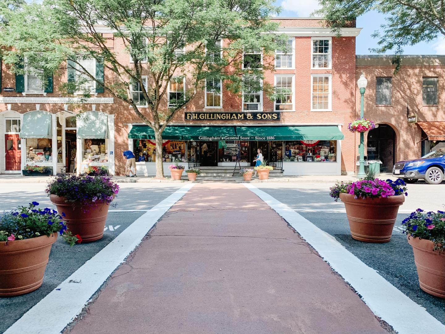 FH Gillinghams In the Summer