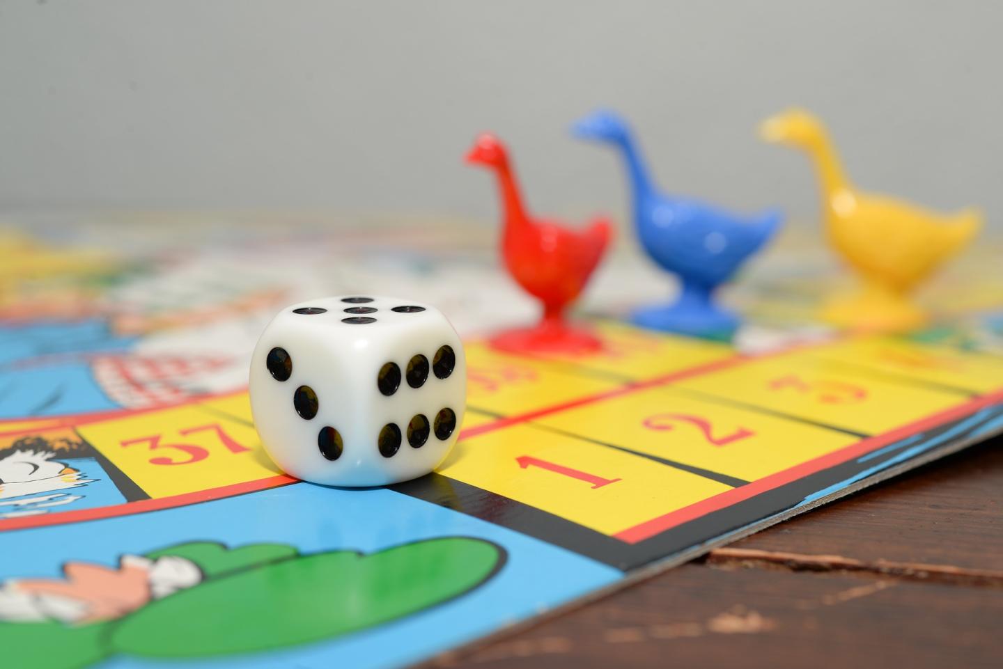 Board game goose