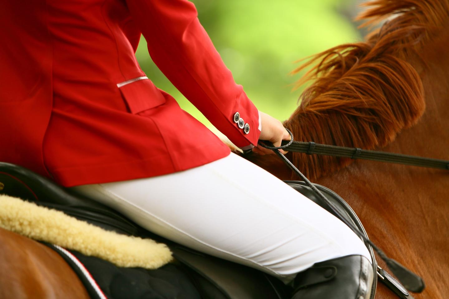 Horseback Riding