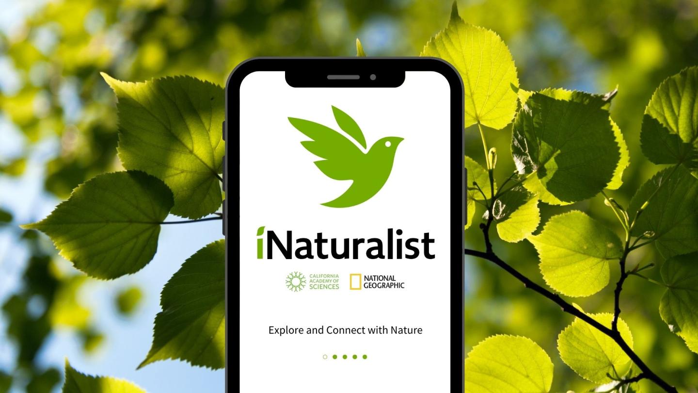 iNaturalist app