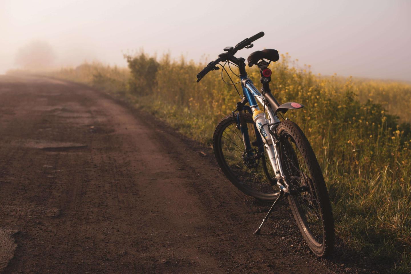 Mountain biking