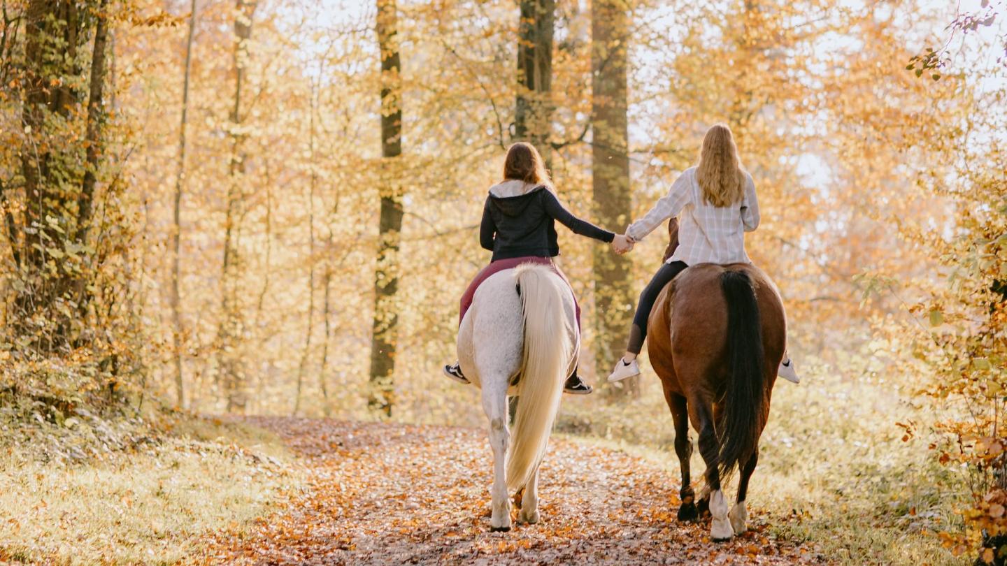 Horseback riding through fall foliage