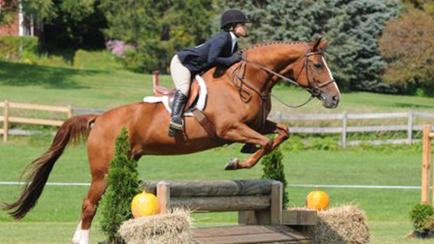 Fall Jumper Show at GMHA