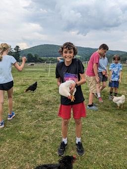 Boy in red shorts and black t-shirt holding a white chicken in a field with other kids and chickens.