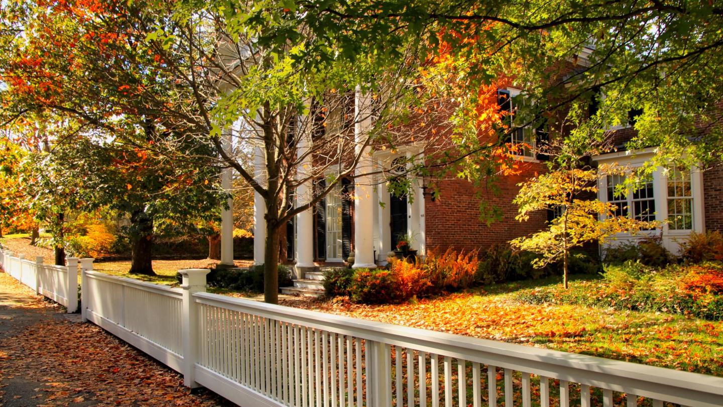 Elm Street fall foliage
