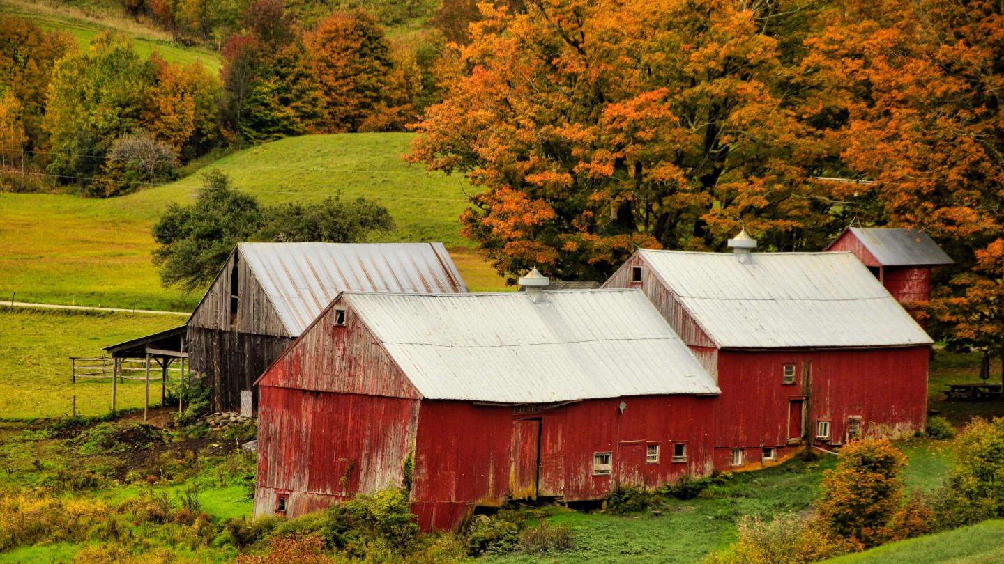 Jenne Farm during fall foliage