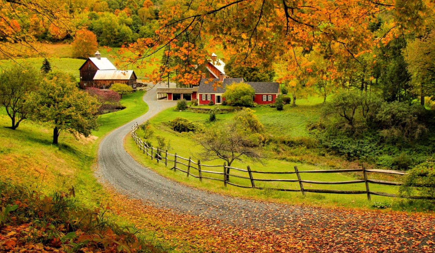 Sleepy Hollow Farm Foliage