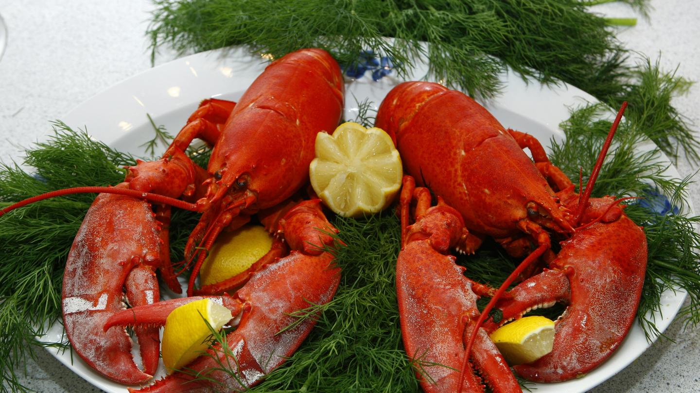 Lobster Dinner