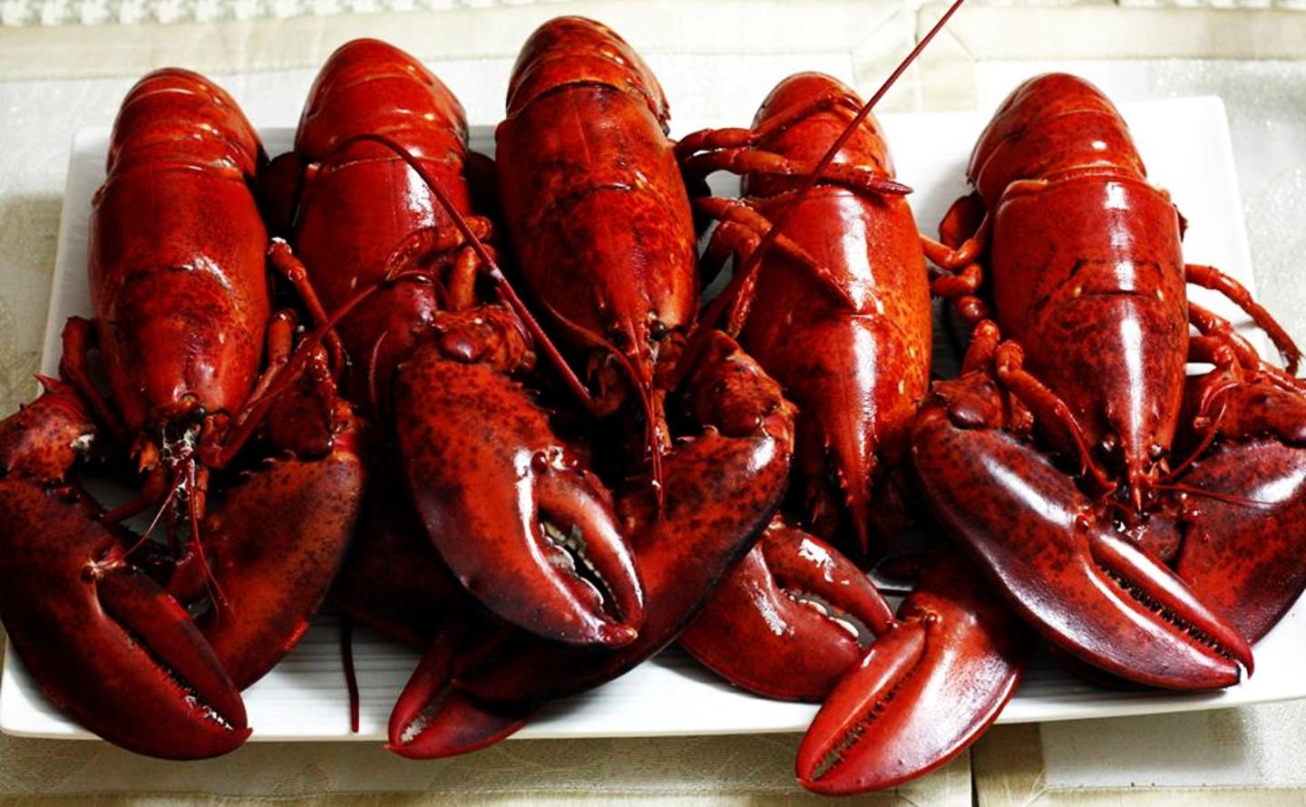 Lobsters
