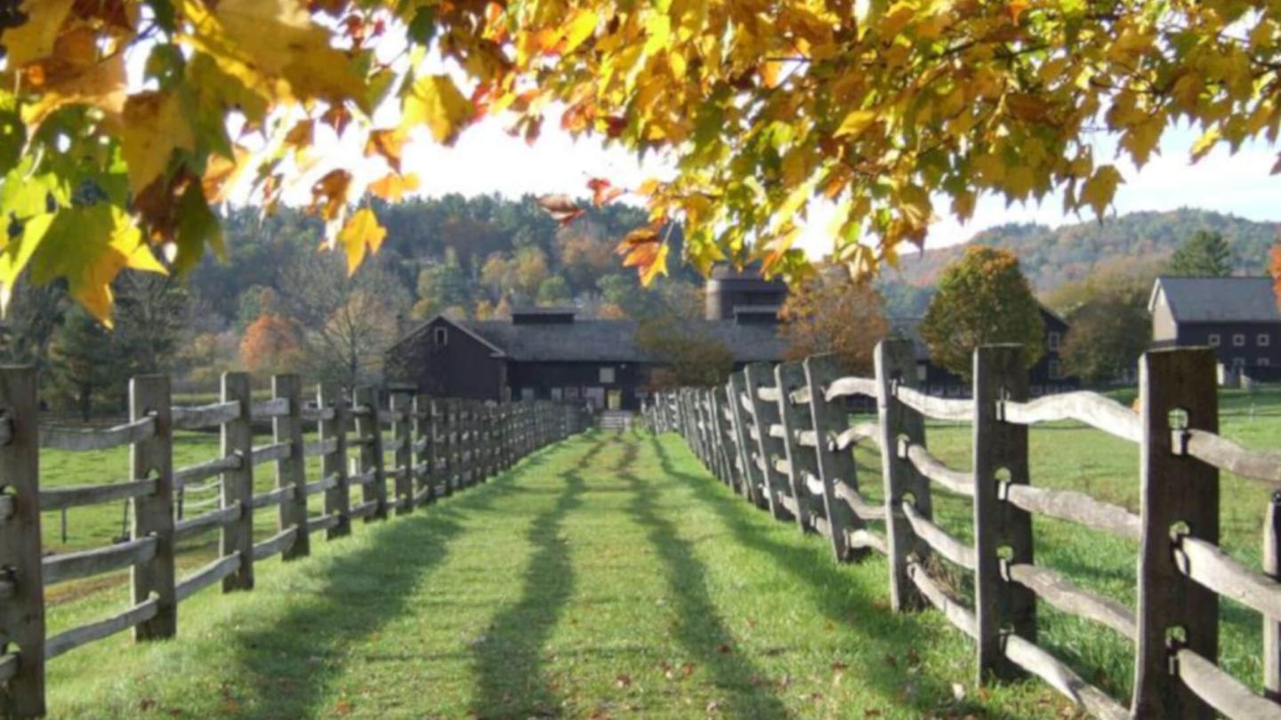 Fall foliage at Billings Farm 