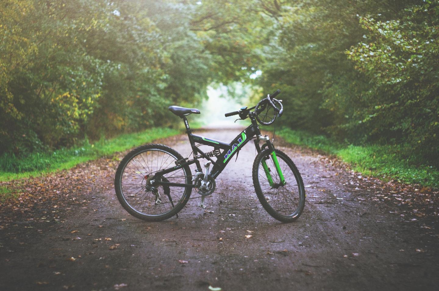 Mountain Biking