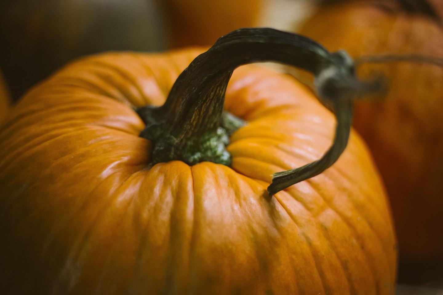 Pumpkin