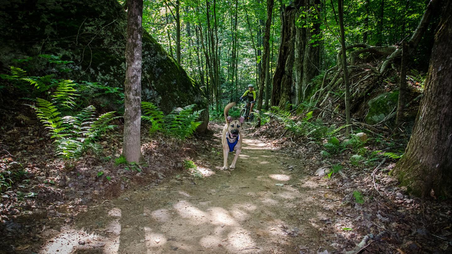 Sherburne Trails KMBC