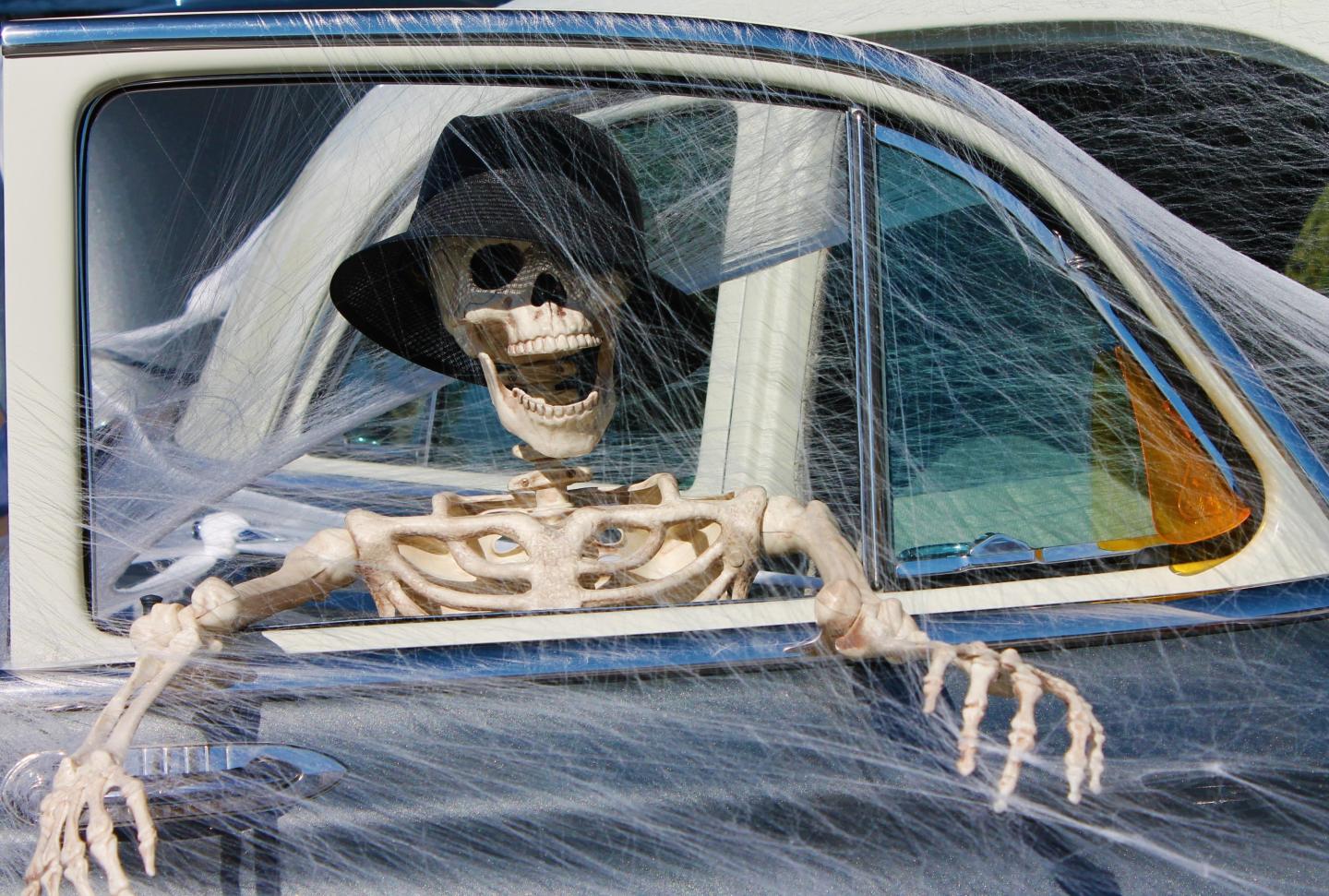 Skeleton
