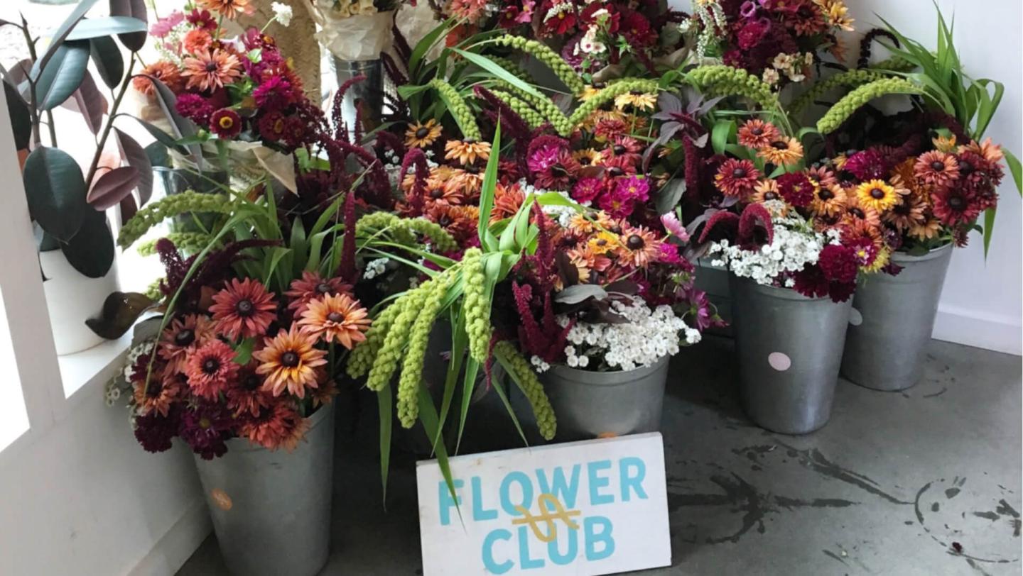 Stitchdown Farm flower CSA