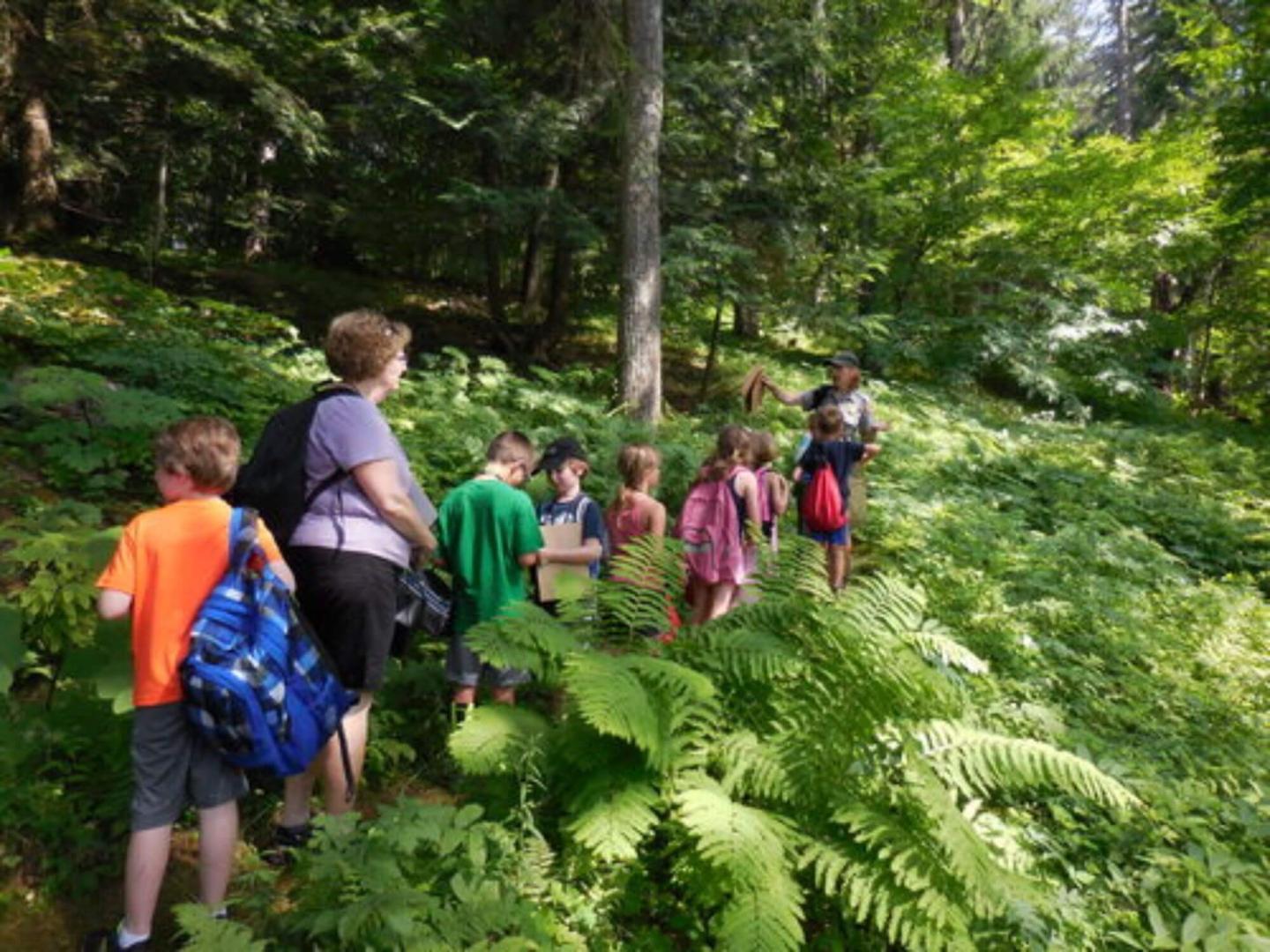 Hikes during Summer SOAK
