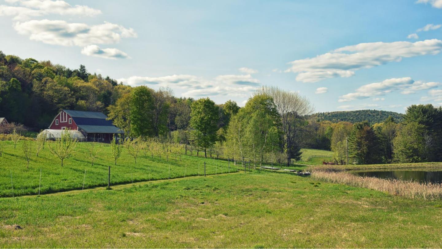 Sunrise Farm