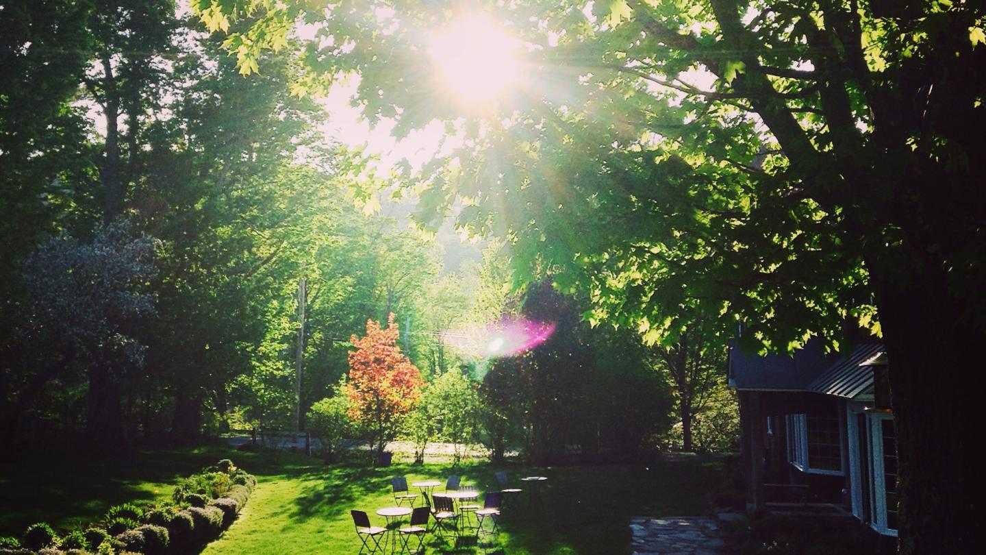 perennial gardens in Barnard, VT