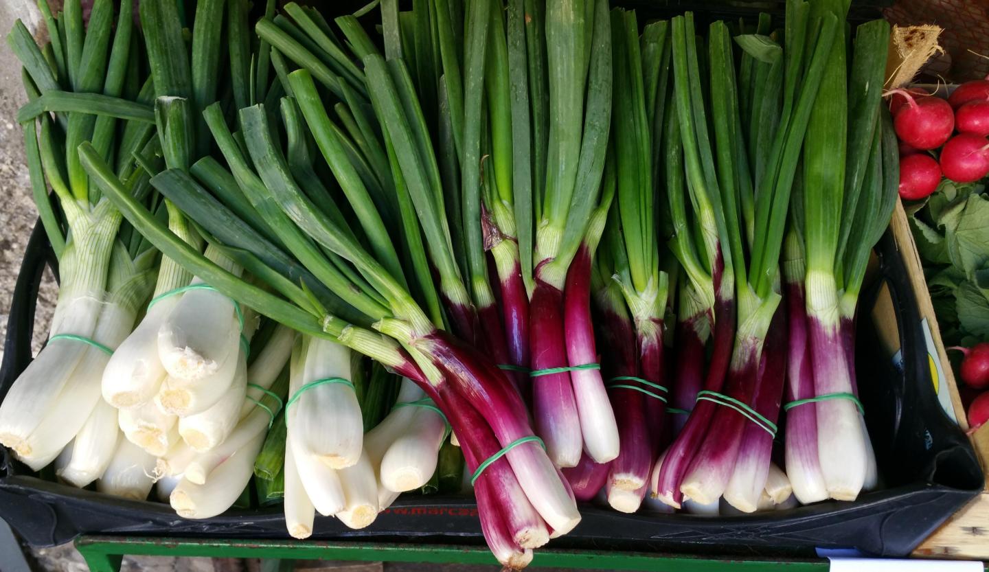 Vegetables