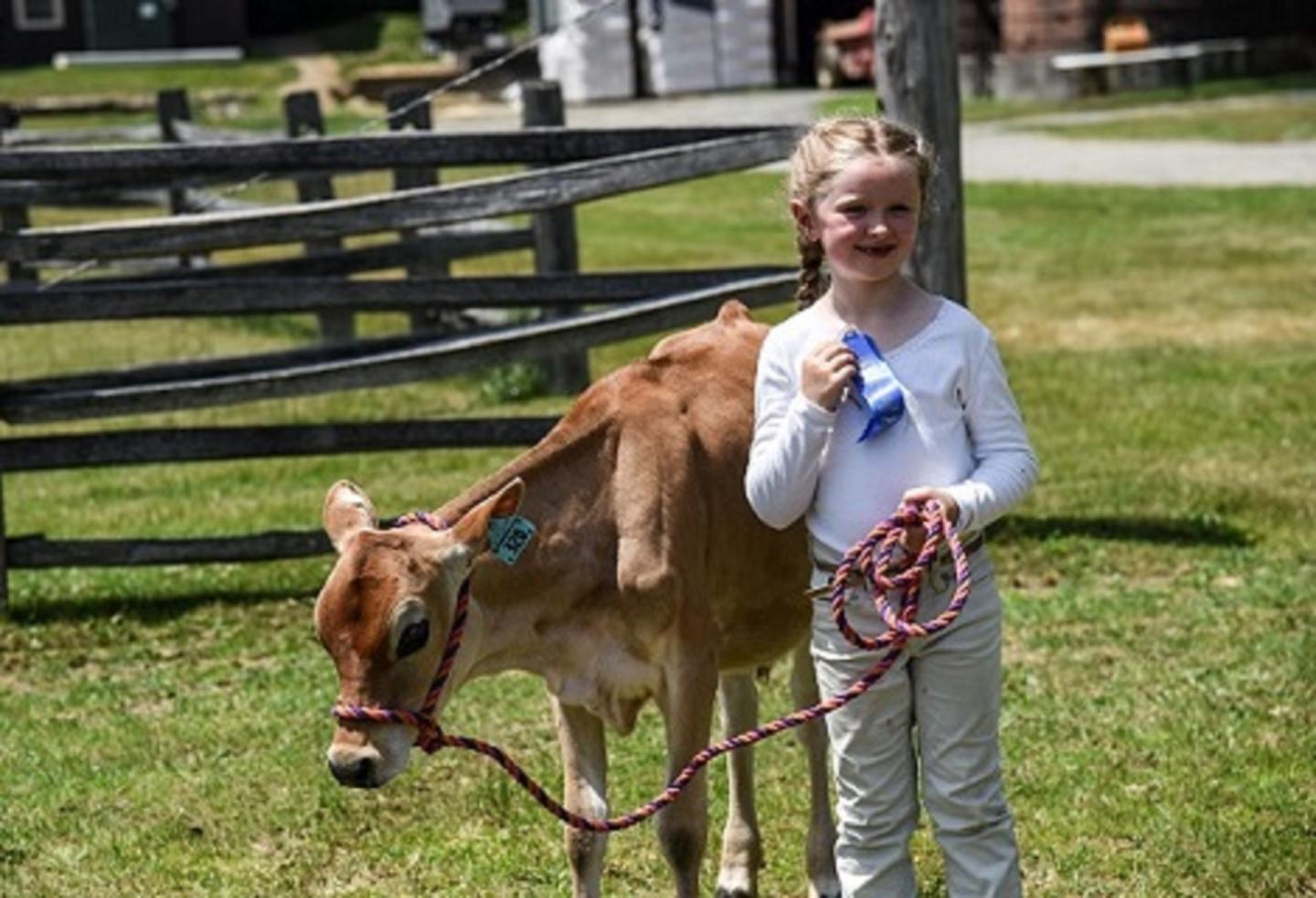 Smiling girl holding a blue ribbon with a calf.