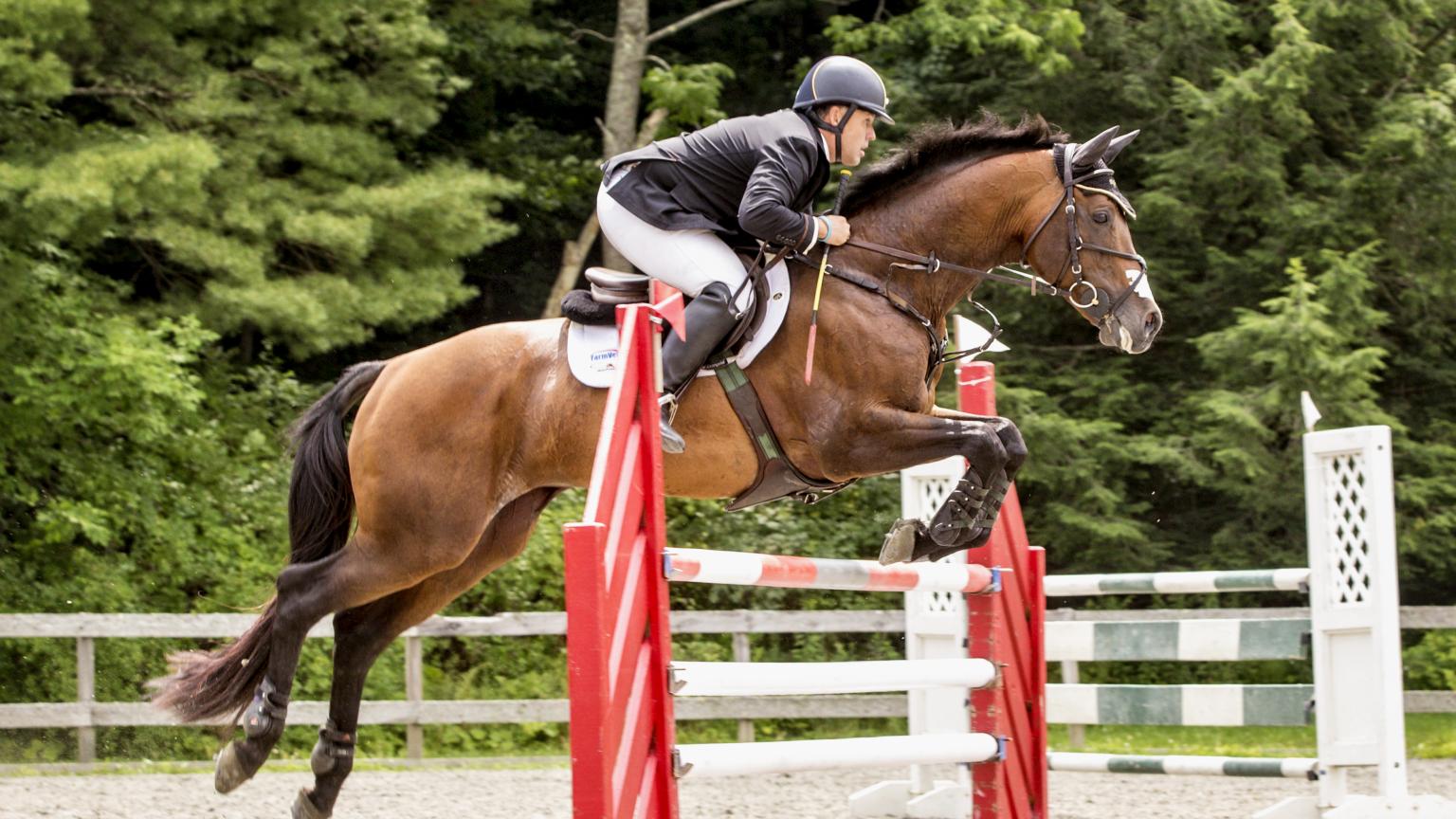 GMHA, Buck Davidson, Eventing