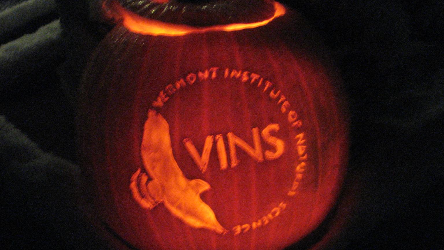 VINS' Annual Hoots and Howls Event