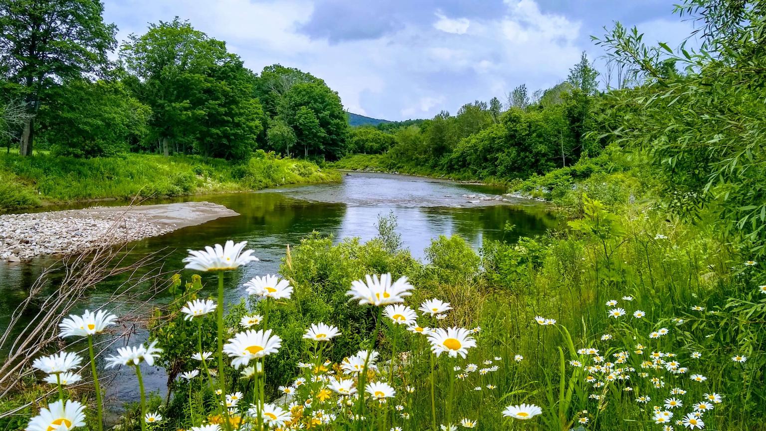 Ottauquechee River with flowers