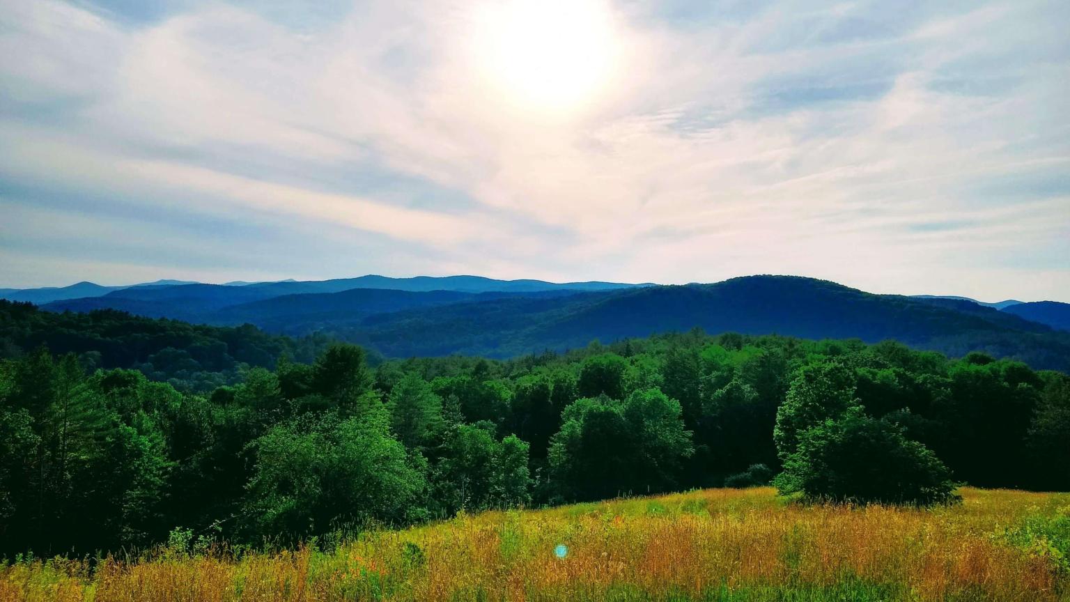 Mt Peg view in summer