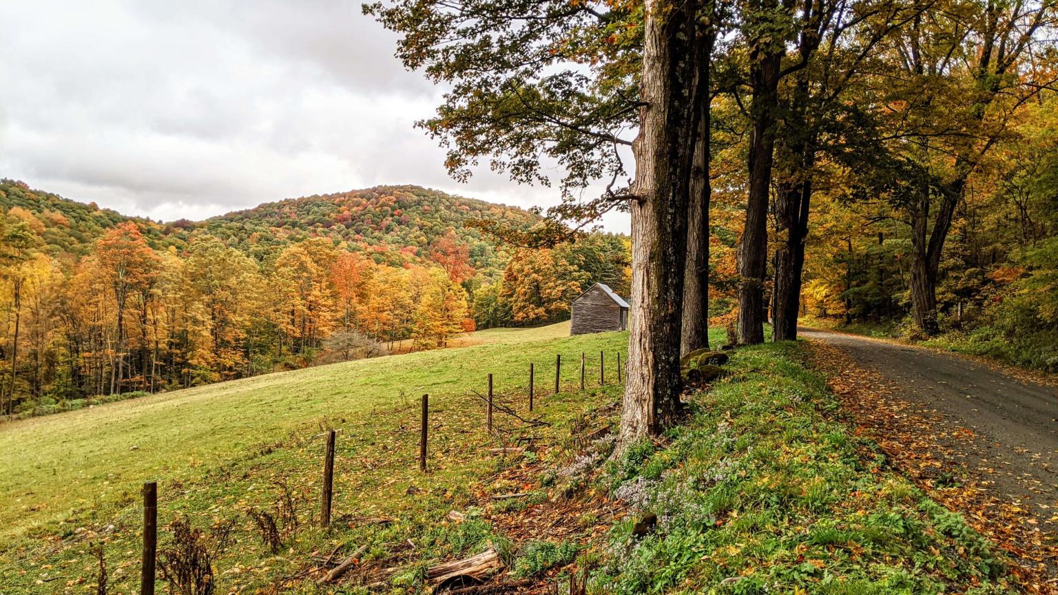 Cloudland Road foliage autumn colors fall
