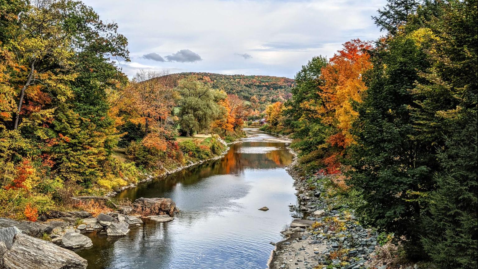 The view from the Elm Street Bridge autumn foliage